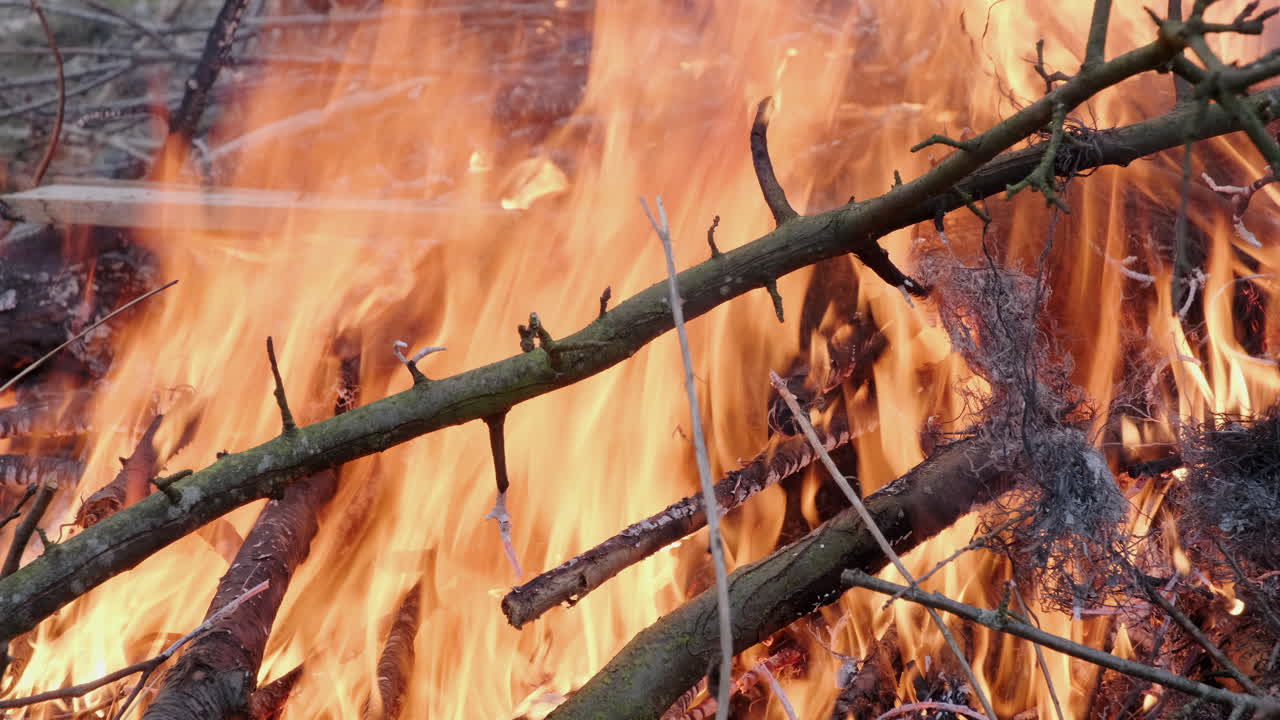 A close view of fire with wooden branches and dry plants The orange and yellow flames are consuming the material The background is not easily seen