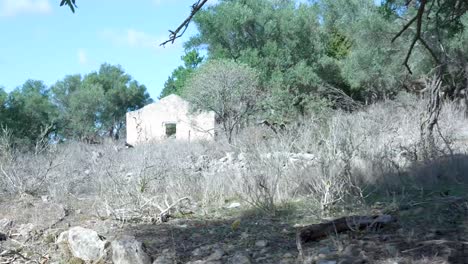 casa de piedra abandonada en el campo