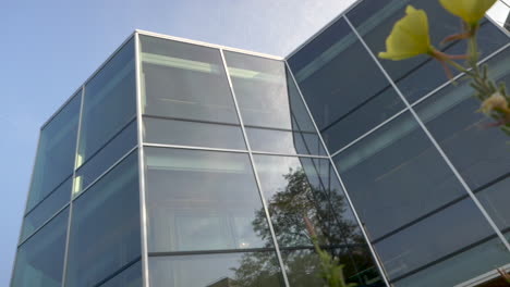 modern glass building exterior with yellow flowers