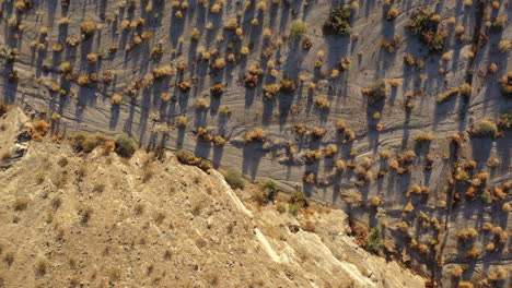 Disparo-De-Un-Dron-Mirando-Hacia-Abajo-Al-árido-Paisaje-De-Un-Acantilado-Rocoso-Y-Luego-Un-Suelo-Desértico-Cubierto-De-Matorrales