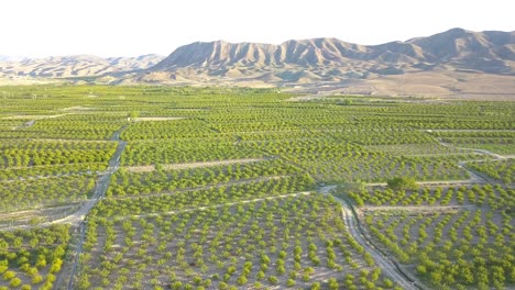 Flying-above-the-farms-in-the-spring