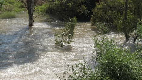 river flood water overflows banks and inundates shoreline trees