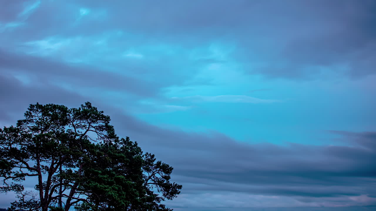 나무 위로 이동하는 구름의 타임스