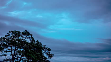 timelapse of clouds moving over the tree