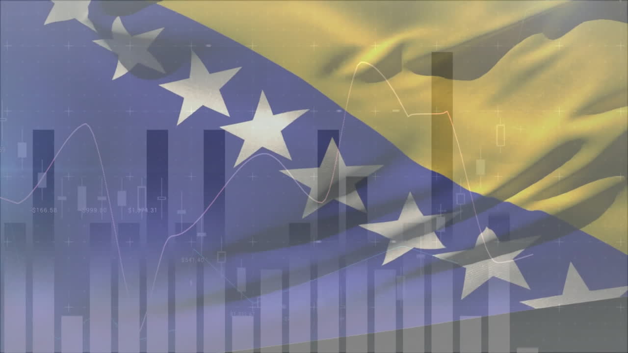 보스니아 헤르체고비나의 발을 이용한 통계 및 금융 데이터 처리