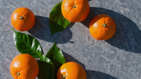 fresh oranges and green leaves on grey background