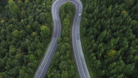 aerial: hairpin winding road pass in mountain forest, top down rising shot