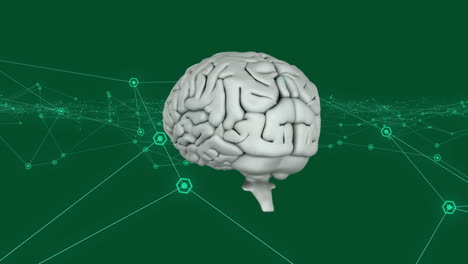 animación de la red de conexiones con el cerebro humano sobre fondo verde