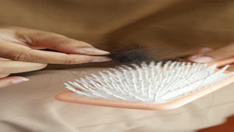 hair loss and hairbrush