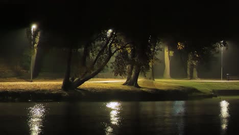 still night park with tree silhouettes and reflections over māra’s pond in riga