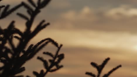 Sunset-in-the-smoky-mountains,-panning-across-the-sky