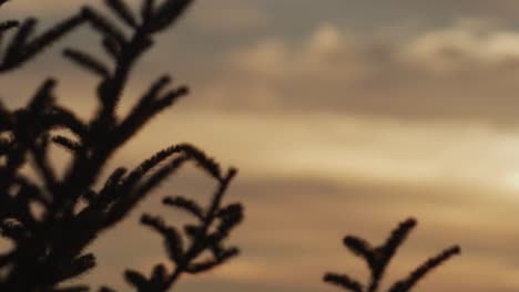sunset in the smoky mountains, panning across the sky