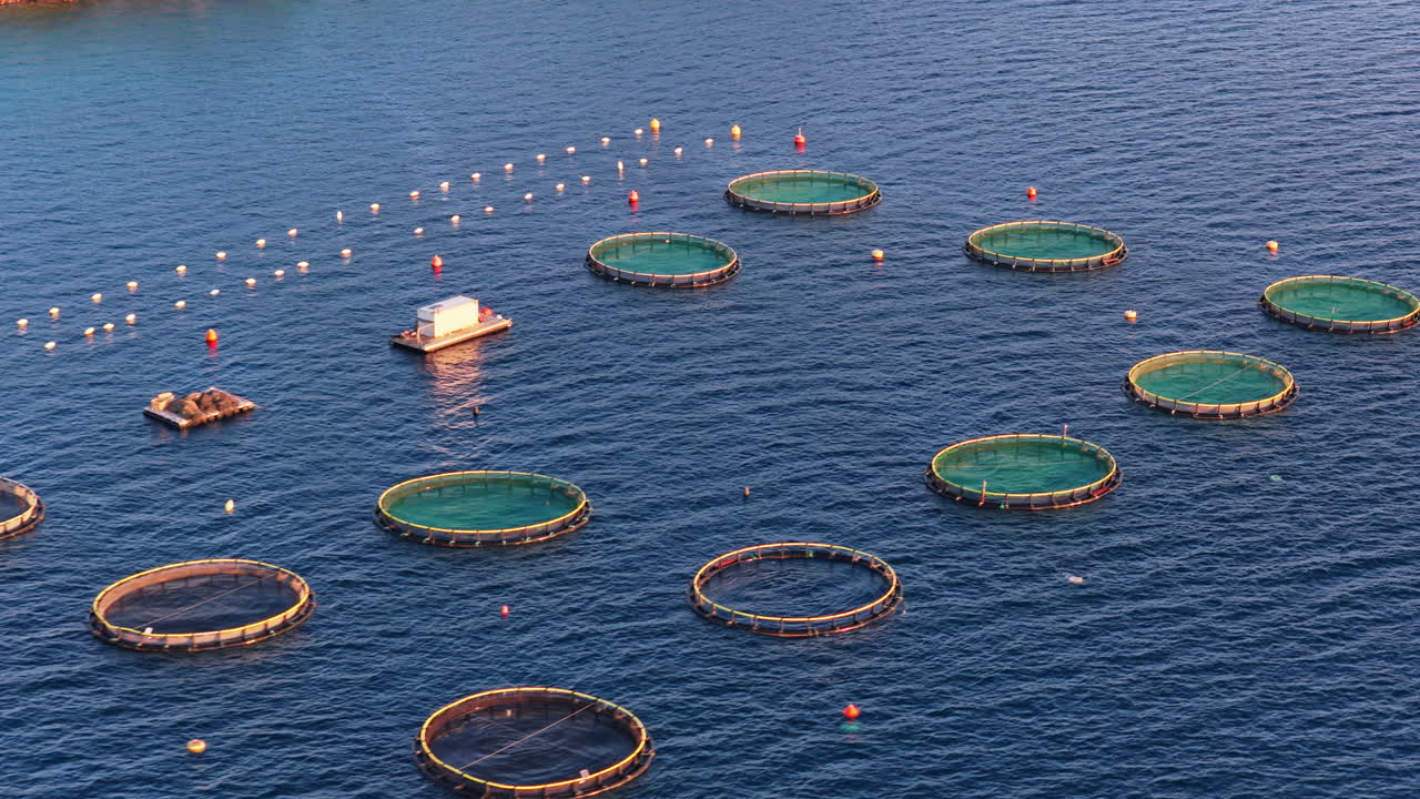 Aerial drone view of offshore aquaculture cages near Tribunj, Croatia, arranged in geometric circular patterns in the deep blue Adriatic Sea
