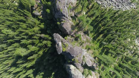 aerial view of rock formations in a forest