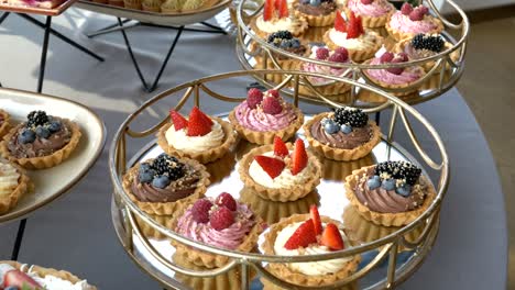 Colorful-sweet-cupcakes-with-whipped-cream,-decorated-with-raspberries,-blueberries,-and-strawberries