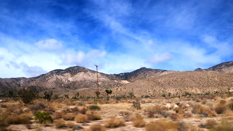 conduciendo a través del paisaje del desierto de mojave mientras observa el paisaje por la ventana del pasajero