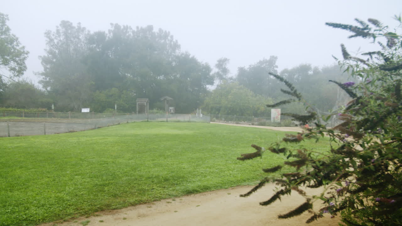 안개가 가득한 풍경