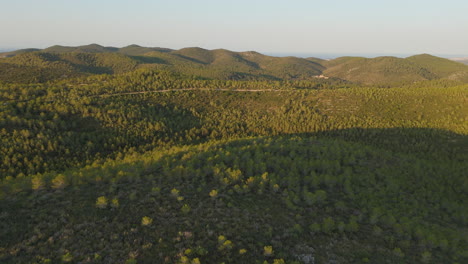 aerial views: drone records the breathtaking mountain valley at sunrise's golden hour