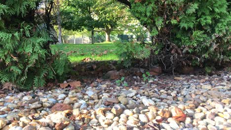 close-up-perspective-of-the-pebble-stones-at-the-forefront