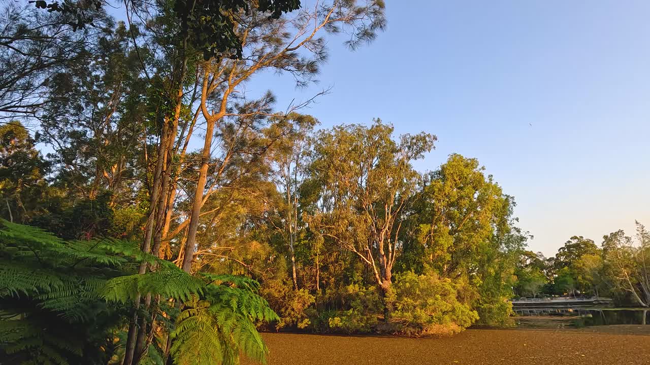 울창한 초록색으로 둘러싸인 평화로운 하천