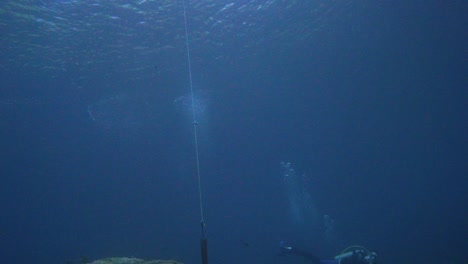 Una-Cuerda-Con-Un-Gancho-Baja-De-Un-Bote-Para-Recoger-Una-Jaula-De-Peces-Del-Fondo-Del-Mar