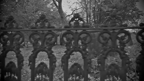 spooky visit to a graveyard