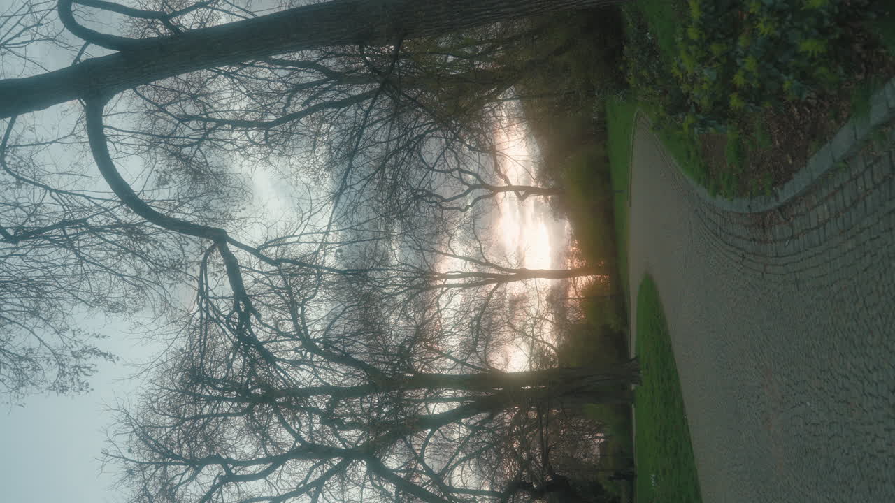 Sunlit path in Letn&aacute; Park, Prague, amidst trees and serene gloomy ambiance - vertical