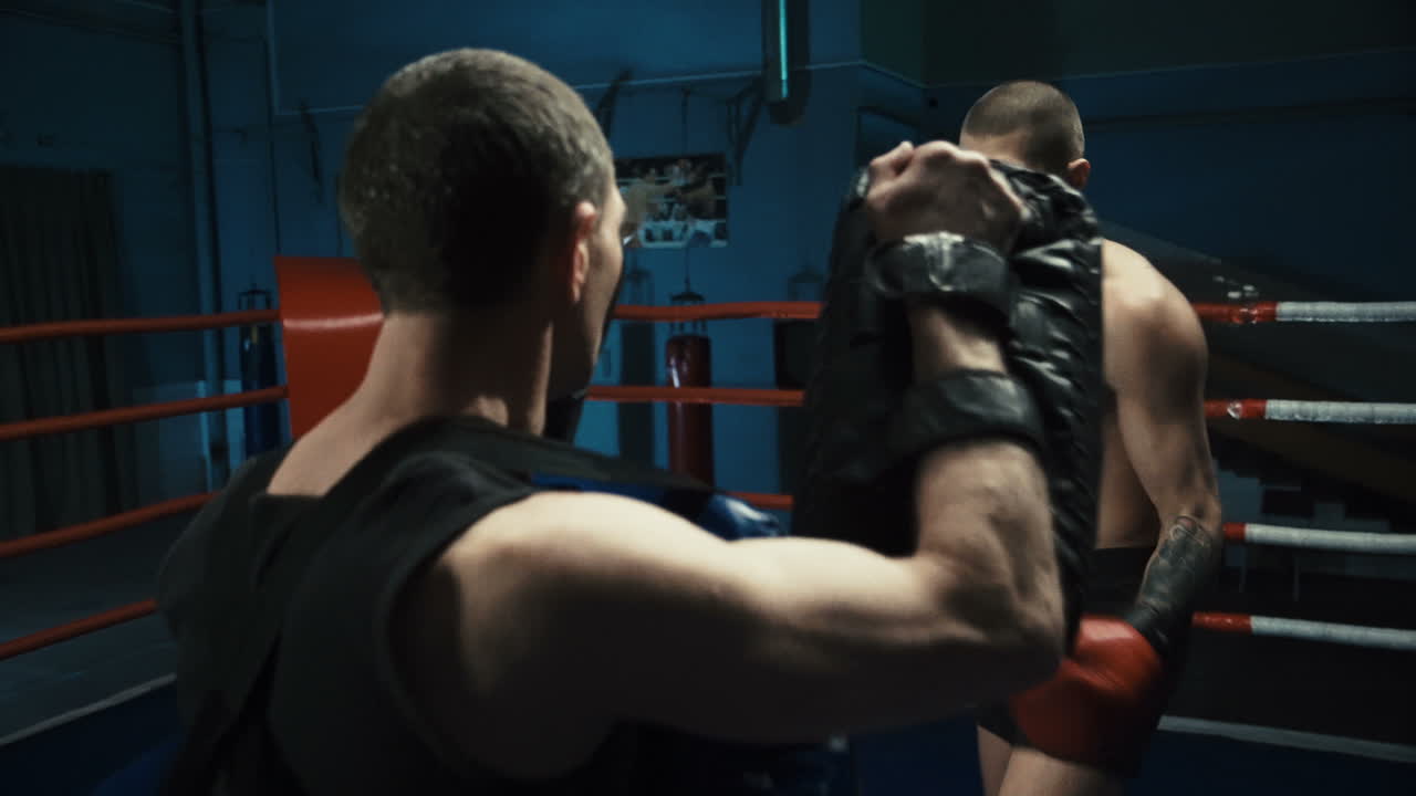 권투 훈련 세션