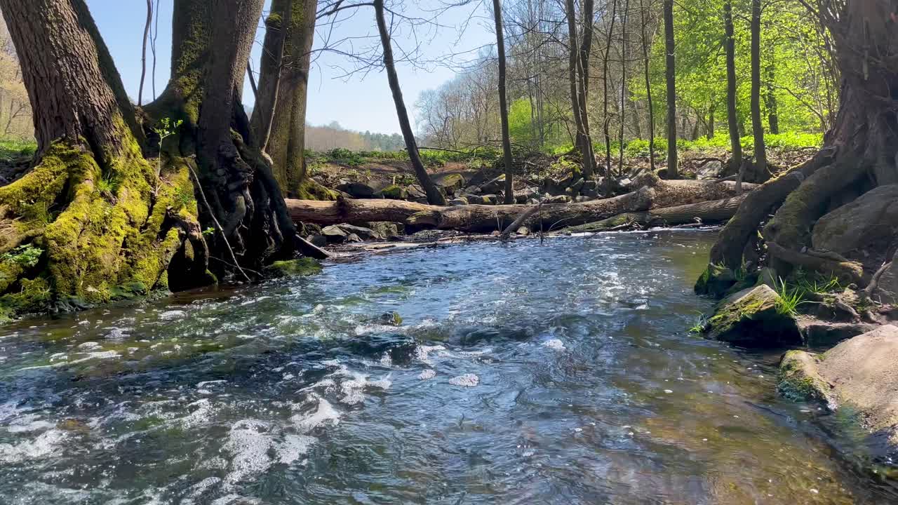 Ruscello che scorre continuamente attraverso un parco colorato in una soleggiata giornata estiva.