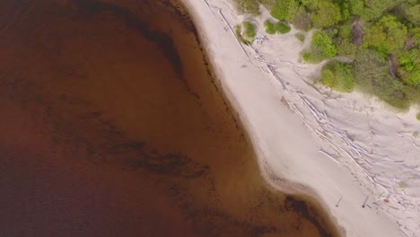 water polluted baltic sea carnikava beach aerial