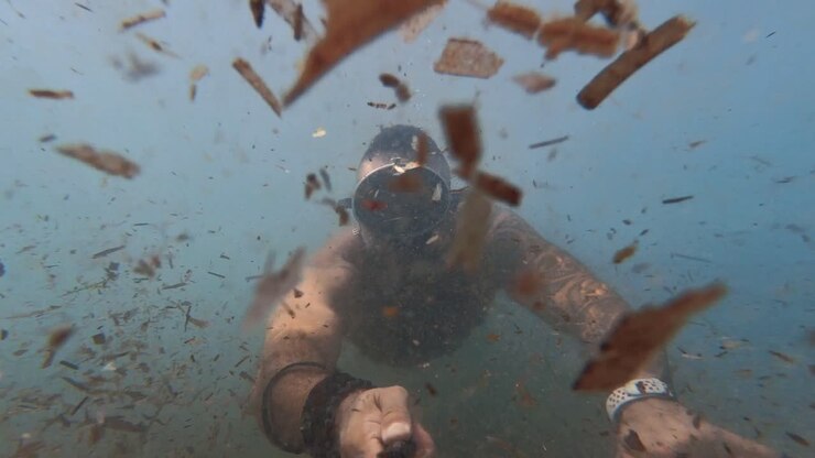 diving in slow motion among poseidonia algae