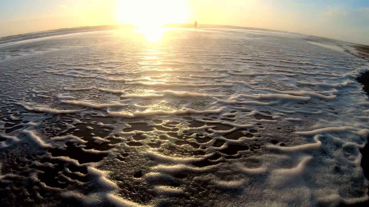 해변에서 폭풍의 해조류, 파도와 함께 모래 해변에서 외로운 남자, 북해, jütland, sondervig, 덴마크, 4k