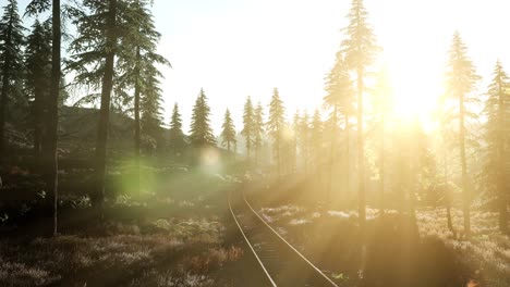 Flight-Over-A-Railway-Surrounded-By-Forest-with-Sunbeams