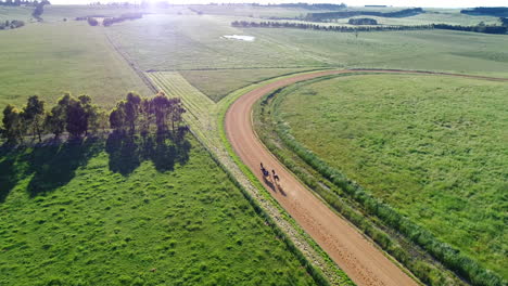 Seguimiento-Aéreo-Del-Caballo-De-Carreras-De-Arnés-En-La-Pista