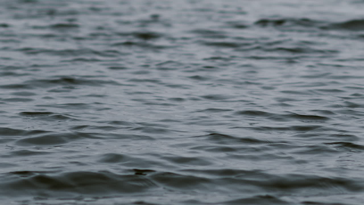 바다 물 파도 - 근접