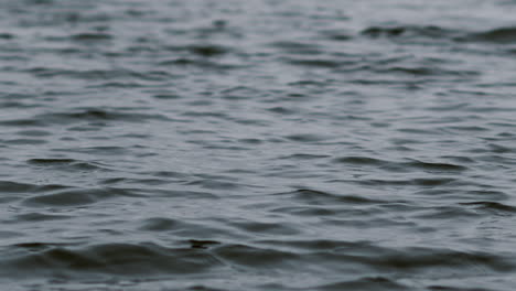 ocean sea water waves - close up