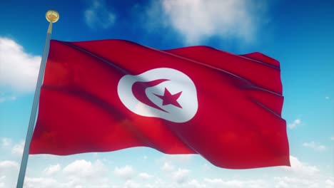 4k bandera muy detallada de tunisia en bucle