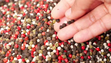 hand picking mixed peppercorns