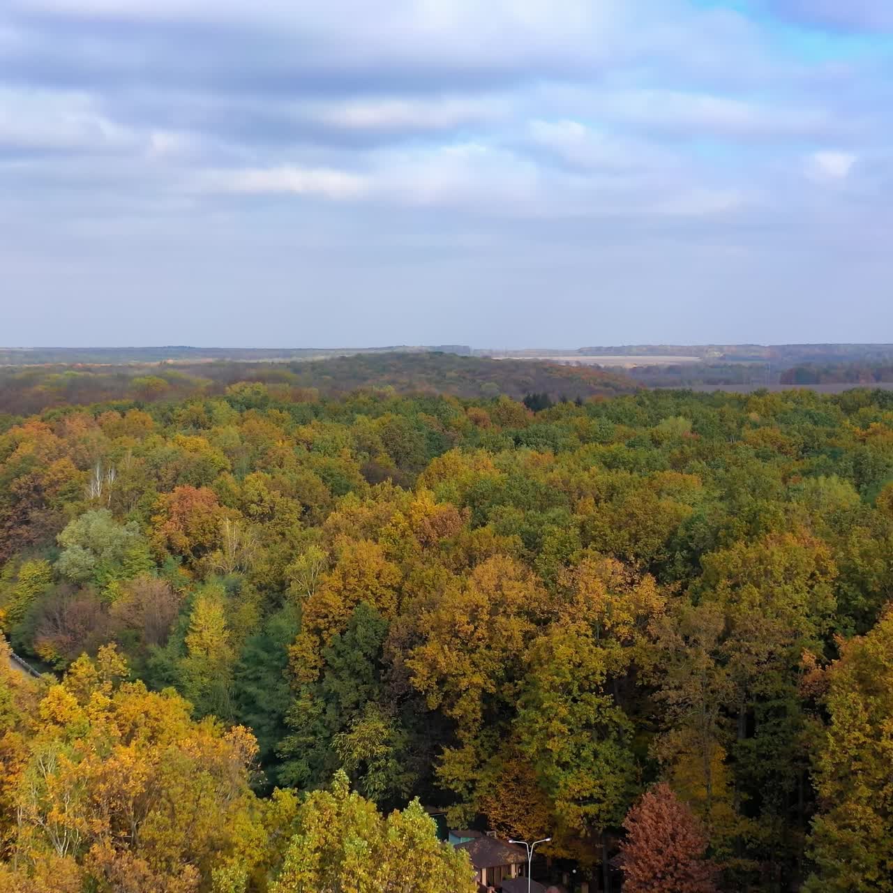 Autumn forest from above. Beautiful woodland in fall season. Flight over the road among colorful yellow treetops. Bright texture in nature. Aerial view