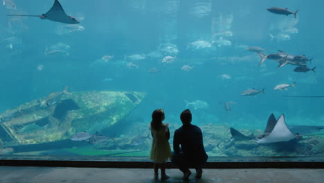 father with daughter at aquarium looking at beautiful fish swimming in tank little girl watching marine animals with curiosity having fun learning about marine life with dad in oceanarium