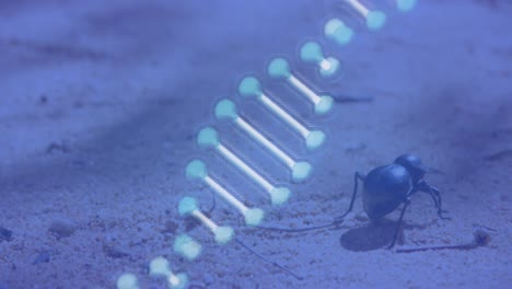 Animation-Eines-3D-blauen-DNA-Strangs,-Der-Sich-über-Ein-Insekt-Dreht