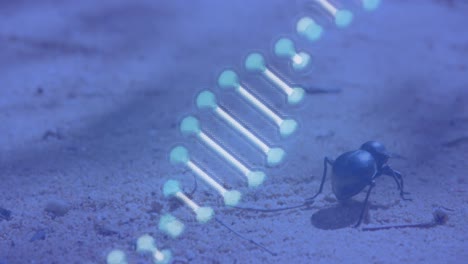 animación de una cadena de adn azul en 3d girando sobre un insecto