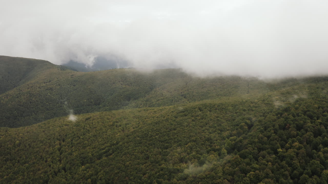 volando sobre el bosque verde en un día nublado a través de las nubes, toma aérea, eslovaquia