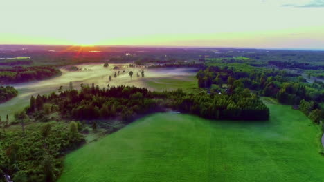 aerial shot of a beautiful professional golf field in the middle of a forest