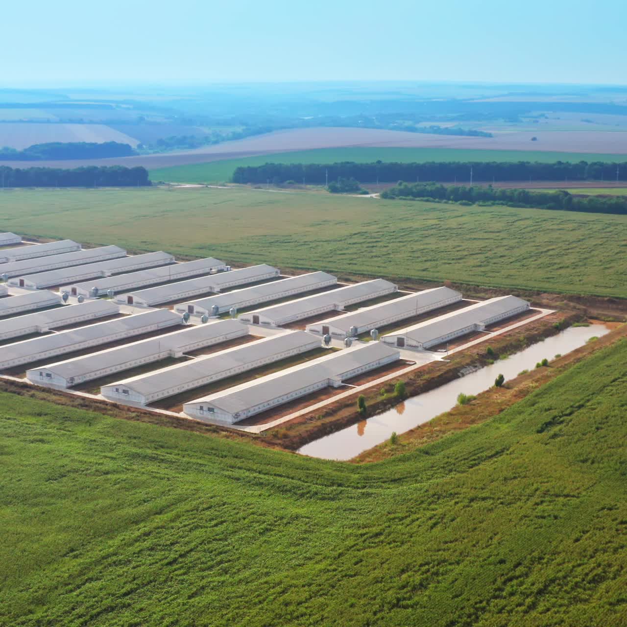 Modern farming complex for domestic animal breeding. Rows of white barn with manmade little pond at the end. Beautiful landscapes at backdrop