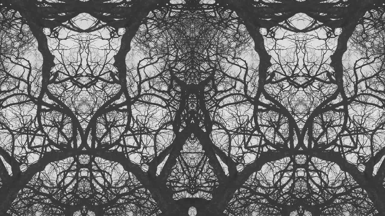 árboles en simetría - en bucle