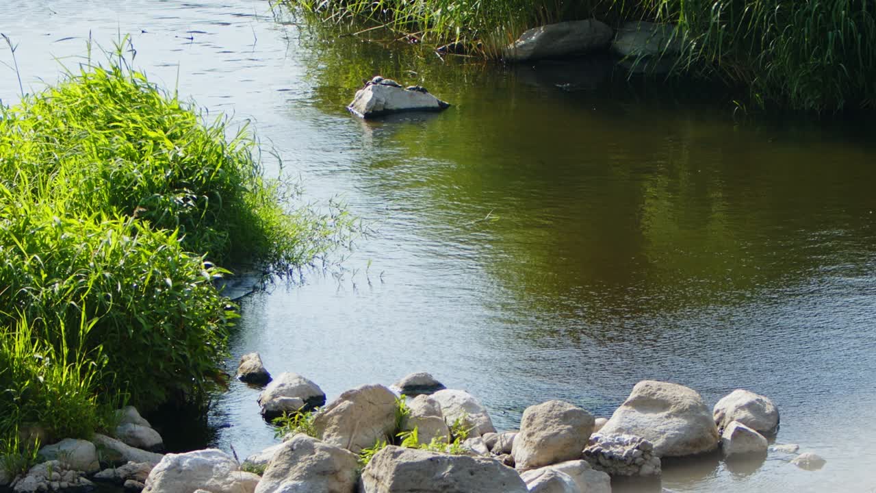 자연 속의 호수 물