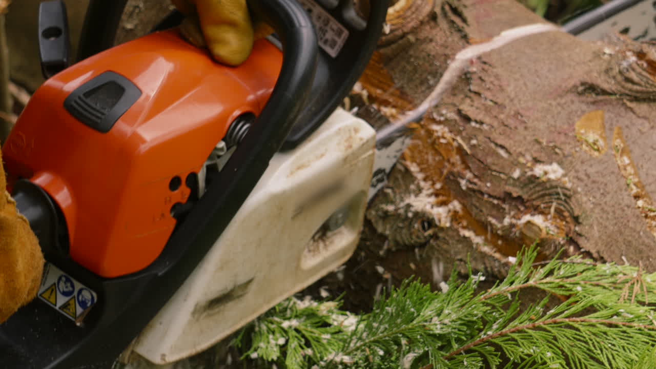 Chainsaw Cutting Through Large Wooden Log in Slow Motion with Worker Wearing Protective Gloves