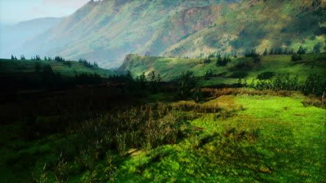 serene green valley encircled by majestic mountains
