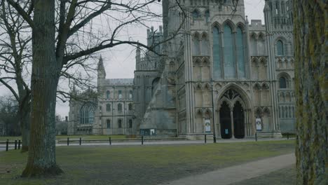 tilt up shot of the cathedral ely through some trees on an overcast gray day in late fall